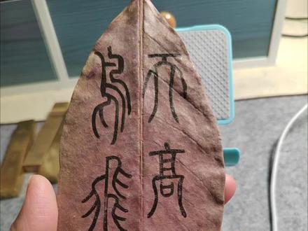 篆书学习 苏轼《水调歌头》
#书法 #篆书