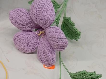 凌霄花钩织教程中集~大花朵花托,花苞及花托钩织教程,无删减,新手特别友好,同款线材放在橱
窗啦@苏苏姐家官方旗舰店,色号都在视
频里!#手工钩织零基础教学#创作者中
心#创作灵感#种草激励计划#一千万粉丝
@@DOU+上热门@中视频伙伴计划官号