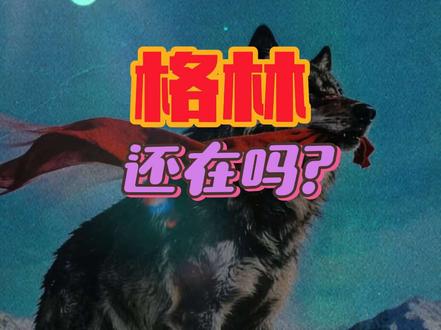 格林还活着吗?格林早就不在了#你相信格林还活着吗 #李微漪 #李微漪和格林的故事 #重返狼群 @DOU+小助手