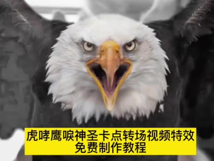 虎啸鹰唳神圣卡点转场特效视频制作教程!
#一种很神圣的卡点
#一种很神圣的卡点教程
#神圣的卡点模板 #剪映
一种很神圣的卡点也是被你用上了 # 老虎吼叫声 老鹰特效
#狗狗超燃剪辑 狗狗压迫感超燃剪辑