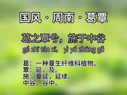 诗经 国风 周南 葛覃 注音 讲解 朗诵 #古诗词 #诗经 #传统文化 #涨知识 #诗经朗诵 #诗经讲解 #诗词歌赋 #国学智慧 #中华文化 #古风