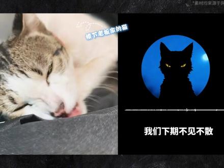 沉浸式体验:深海绝境之下的60小时 这不是恐怖电影,而是2013年真实发生在大西洋底的生还奇迹。
当你沉入深海,你会选择放弃,还是像哈里森一样,守着那最后一口空气坚持到底?
内容基于公开真实事件整理,无不当引导,愿每个绝境中的人都能等到那束光。
#真实故事 #沉浸式体验 #睡前故事 #海难 #第二人称