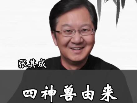 四神兽对呀28宿#国学 #传统文化 #张其成