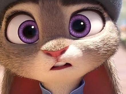 《疯狂动物城》朱迪/盖瑞/尼克角色原型可以养吗?揭秘赶紧看。 #疯狂动物城 #疯狂动物城2 #动物 #科普