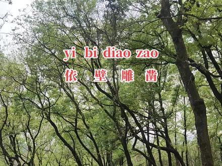 安徽方言,你们那里也这样说吗#方言 #我是安徽的