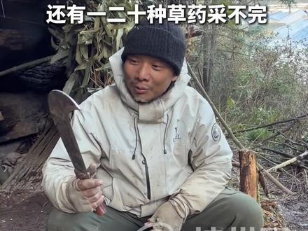开局一把刀,剩下全靠造!别人是来#荒野求生,#老中医 是来养生,住着河景房,睡着“席梦思”,用着陶瓷餐具,还有一二十种草药采不完,“来这里身体都变好了”。#第二届张家界七星山荒野求生挑战赛