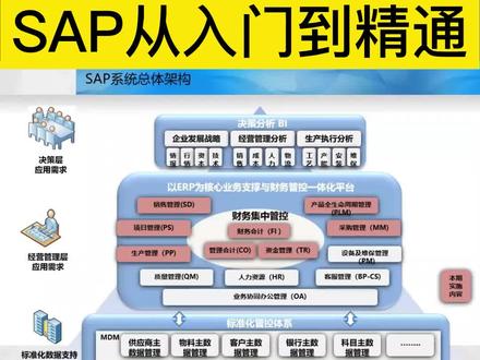 SAP从入门到精通,SD模块视频教程#SAP #SAP学习 #SAP就业 #sap