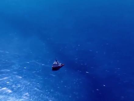 海底真的存在另一个世界吗?这七个惊人发现,足以颠覆你的认知 #海底世界 #科普