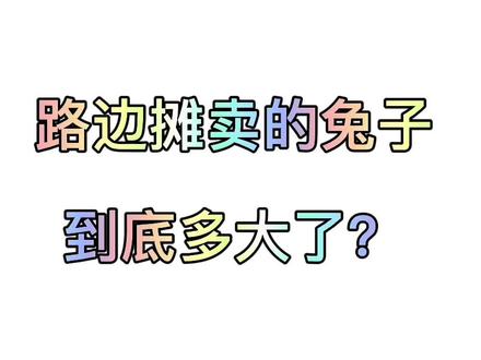 路边摊卖的兔子到底多大了?#兔兔🐰 #兔子 #宠物兔 #幼兔