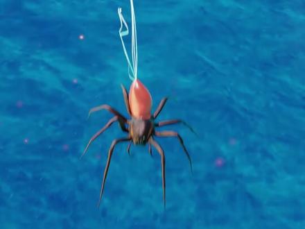 数百万只蜘蛛从天而降,覆盖整个小镇 #科普