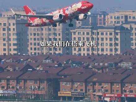 揭秘!飞机“拜拜员” #航空科普 #飞机 #原创视频 #客机