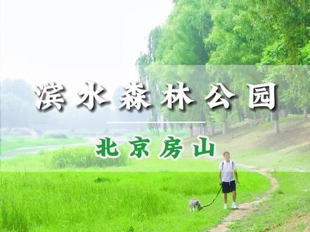 99%的人都不知道北京房山藏着绿野仙踪,免门票,狗狗在里面玩水很开心!#带着狗狗去旅行 #好好旅行节 #谁还没开始做端午旅行计划 #这样过周末太哇塞了 #哈士奇日常 @抖音小助手