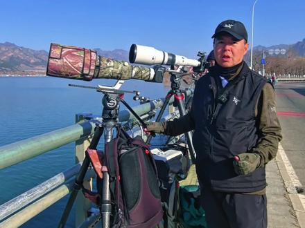 加油鸭🦆快跑!两只白尾海雕协同追捕秋沙鸭🦆 #新摄雕英雄传#冬季到平谷看雕#北京平谷西峪水库拍摄