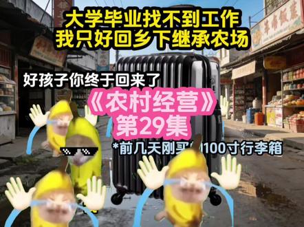 《农村经营》|第29集#猫meme #猫meme日常