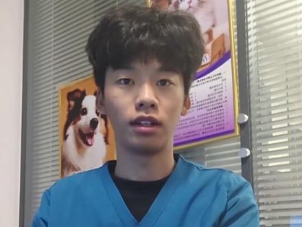 你知道狗狗经常刨地是因为什么吗#宠物科普 #宠物 #狗狗#狗狗刨地