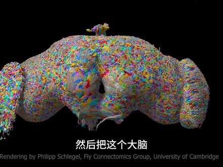 我们的世界是虚拟的??证据竟然是一只果蝇 如果一只果蝇的大脑被完整复制进电脑,它会发生什么?
科学家真的做了这个实验。
结果,这只从未出生的数字果蝇竟然自己开始行动,
行为和真实果蝇91%相同。
这个实验正在引出一个越来越多科学家认真讨论的问题:
如果大脑只是结构,我们的世界,会不会也是一场模拟?
#虚拟世界 #未解之谜 #脑机接口 #模拟宇宙 #青年创作者成长计划