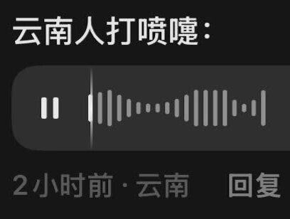 云南人打喷嚏🤣🤣🤣#真的服了#云南人打喷嚏#笑死人不偿命系列#真实生活分享计划