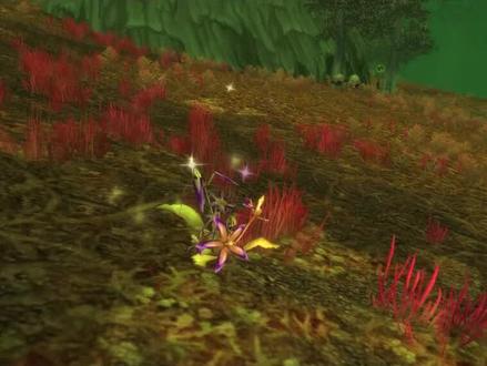 要不是评论区大神们提醒,我都不知道我拍错花了!#魔兽世界