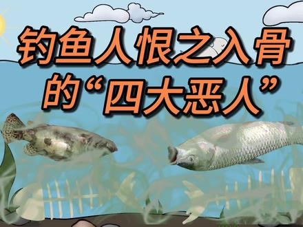 钓鱼人恨之入骨的“四大恶人”,你遇到过几个? #钓鱼 #野钓 #钓鱼知识 #户外钓鱼 #钓鱼人 #钓鱼那些事