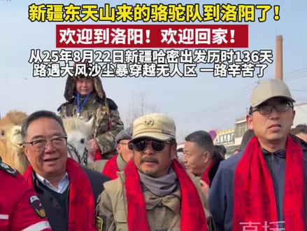 新疆东天山来的骆驼队到洛阳了!欢迎到洛阳!欢迎回家!