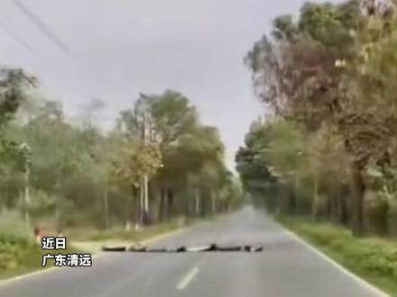 近日,车主@DerekTLM 反映,驾车在广东清远X408县道,发现前方4名小孩横躺马路,急忙刹车避让,“对自己不负责,也是在危害行车司机”。黄花镇政府人员回应,当天联合村干部找到小孩,对他们进行了安全教育。