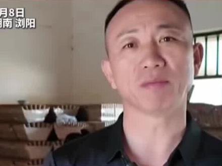 浏阳烟花老板回应美国“对等关税”,没有利润我们是不会卖的,浏阳烟花没有“平替” 美国生产不了