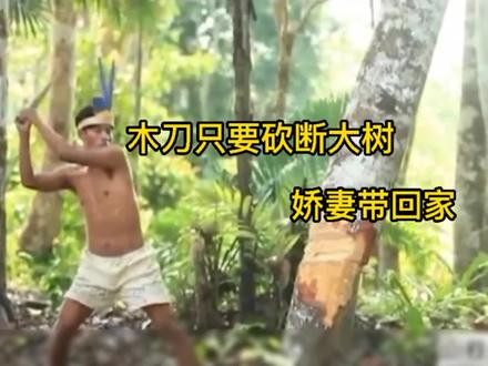 砍断大树,抱得美人归,走进原始部落奥卡伊娜族奇特的习俗仪式