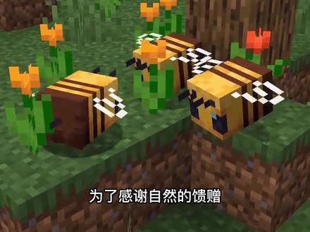 我的世界:萌新不知道的蜜蜂小知识,老玩家会心一笑! #我的世界 #沙盒