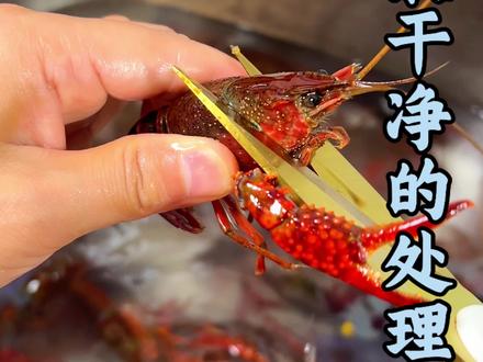 这样处理的小龙虾吃着才放心,一般我都不到外面吃#去头去壳去虾线 #处理小龙虾正确方法 #处理小龙虾方法