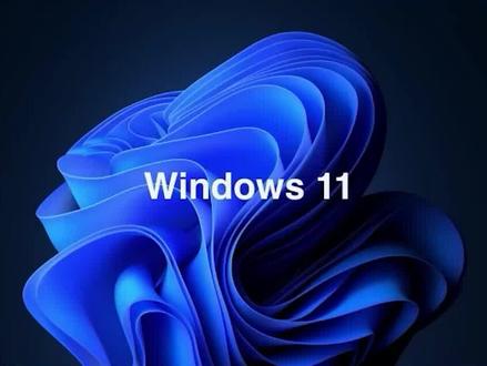解决WIN11分辨率无法调整的方法#电脑知识 #电脑技巧 #系统 #软件 #win11 #教学 #分享 #科技