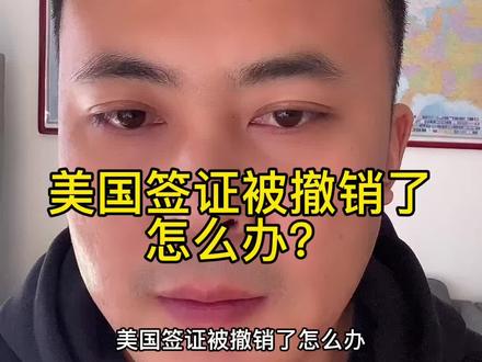 美国🇺🇸签证被撤销了怎么办?怎样查询美国签证状态?#美国 #美国签证
