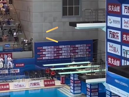 武汉跳水锦标赛女子10米决赛,全红婵427.60摘银,陈芋汐436.8夺冠,网友:不管跳第几你都是我们的婵宝宝!#全红婵 #陈芋汐 #现场实拍 #水花消失术 #现场直击