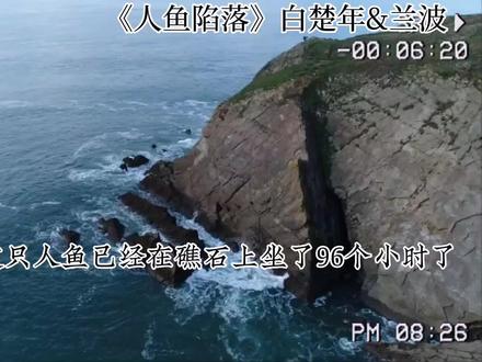 白楚年:别拿棍儿捅咕我老婆。
#广播剧 #人鱼陷落by麟潜 #张福正 #马正阳