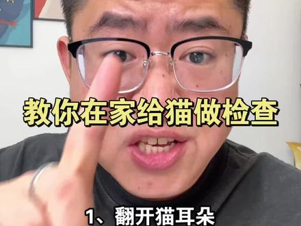 教你在家给猫做检查 #养猫进阶指南 #养猫新手 #养猫经验分享 #新手养猫指南