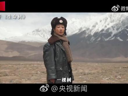 电视剧《生命树》正在热播👍👍