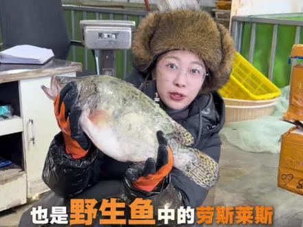 刺少的淡水鱼,你知道几种?#松原 #野生鱼白 #淡水鱼 @DOU+小助手 @抖音小助手