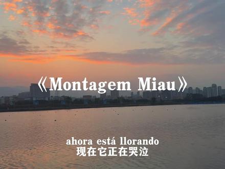 喵~喵~(>^w^<)#阿米嘎蒂朵喵喵手势舞#montagemmiau#音乐分享
