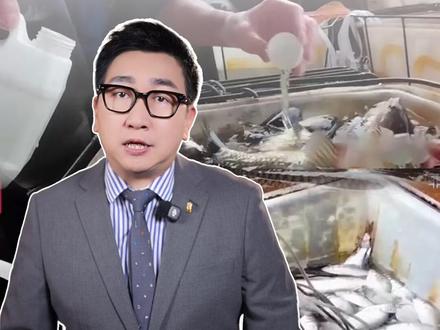 央视曝光“麻醉鱼”乱象,一瓶盖能让活蹦乱跳的鱼瞬间瘫软,几瓶竟然就直接能麻翻一池几千斤鱼#央视曝光活鱼麻醉剂滥用乱象 #麻醉鱼 #食品安全