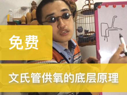鱼缸这个地方钻个洞,免费的氧气二十四小时享不停,再也不用电费