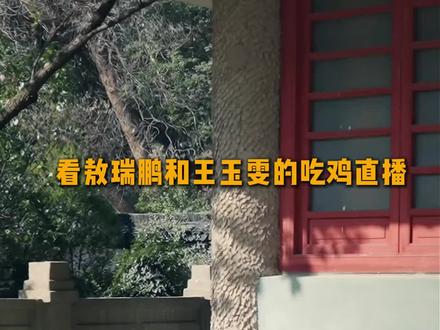 这场“真人版吃鸡喜剧”以后能不能多来点#王玉雯敖瑞鹏在和平精英搞抽象