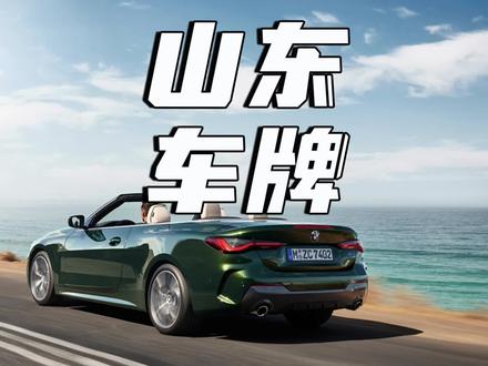 山东除了蓝牌和绿牌外,还有电D车牌……#老头乐