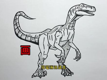 手绘恐龙教程、教你如何画恐龙、简笔画迅猛龙#画画 #温暖平安过大年 #绘画过程 #简笔画 #侏罗纪世界