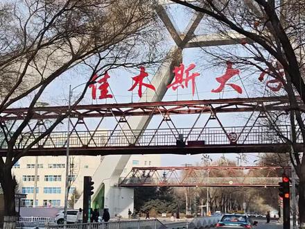 26考研佳木斯大学A18考试考点。#考研 #初试