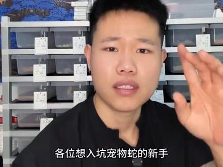 想养宠物蛇?先看完这篇再入手,不后悔#新手养蛇 #宠物蛇 #玉米蛇 #宠物蛇科普 #爬宠