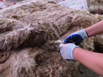 羊皮是如何加工制造的? #羊皮 #皮革 #皮革加工