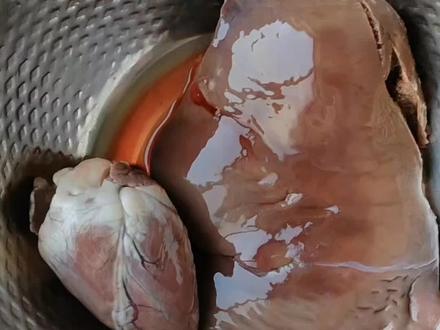 #美食分享 :凉调羊肝,老人孩子一定多吃,明目,补铁补血,营养价值非常丰富