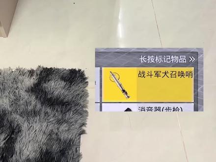 和平的兵宠物都是这样子的 和平精英新版本宠物控制器我好像捡到个真的#游戏破壁计划#和平精英 #小猫咪 #聪明小猫 #宠物成精啦