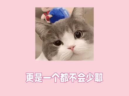 #小说 #指南 生活不易,来看卫三多才多艺!#红刺北 #砸锅卖铁去上学 #我要上学 #追更少女的后花园 #小说指南 #抖音全民好书计划#沙雕文