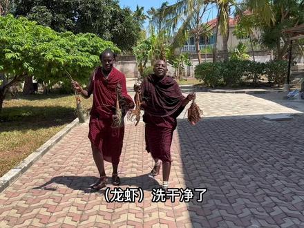 八只大龙虾270元!在非洲买龙虾是真带劲,这一口一个不得吃嗨了