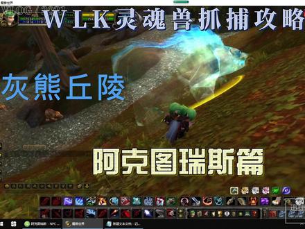 WLK灵魂兽阿克图瑞斯.mp4 #魔兽世界 #巫妖王之怒怀旧服 #灵魂兽 #我的游戏秘籍 #诺森德的召唤
